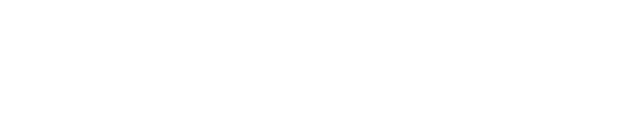 Swiss Ladies Drive - Logo